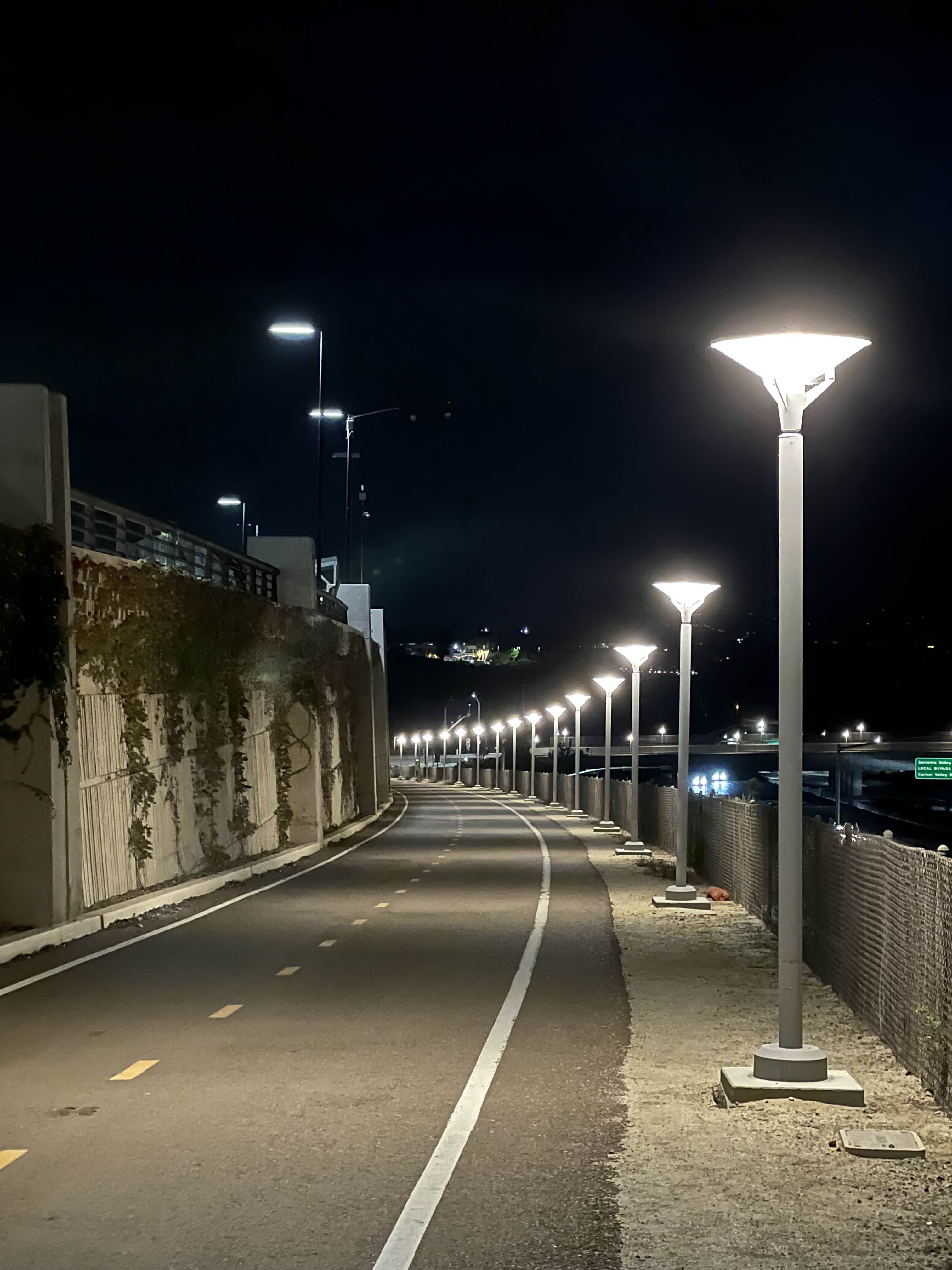 Bike lane lined with lamps